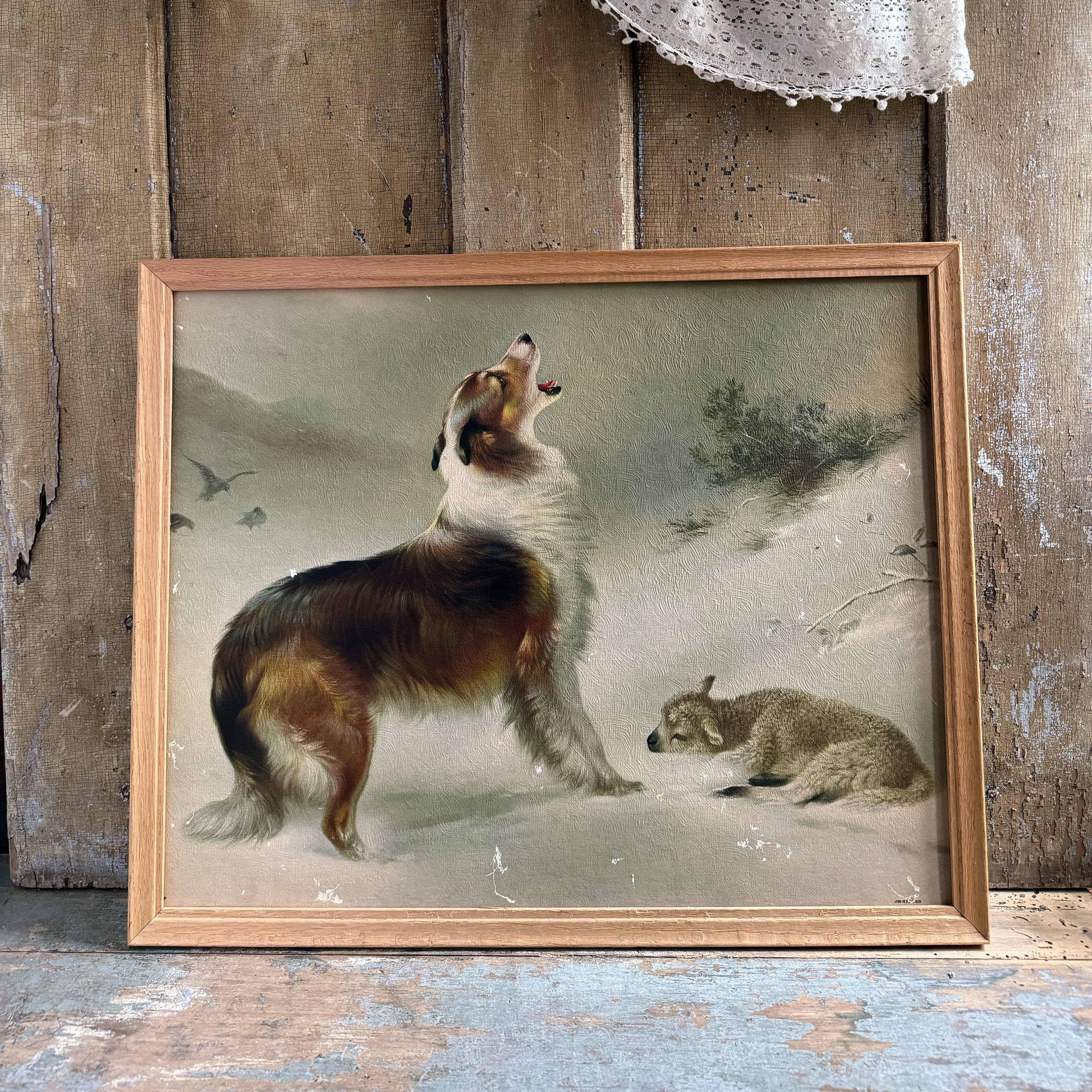 気品ある犬の肖像版画、アンティーク．リトグラフ 気品ある犬の肖像版画、アンティーク．リトグラフ