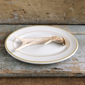 White Oval Serving Platter with Gold Border - Shenango China - Restaurant ware - Farmhouse