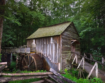 Vieux moulin dans les bois