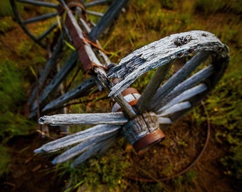 Rueda de carro del Viejo Oeste