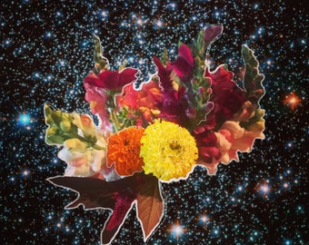 Flowers in Space Art Print