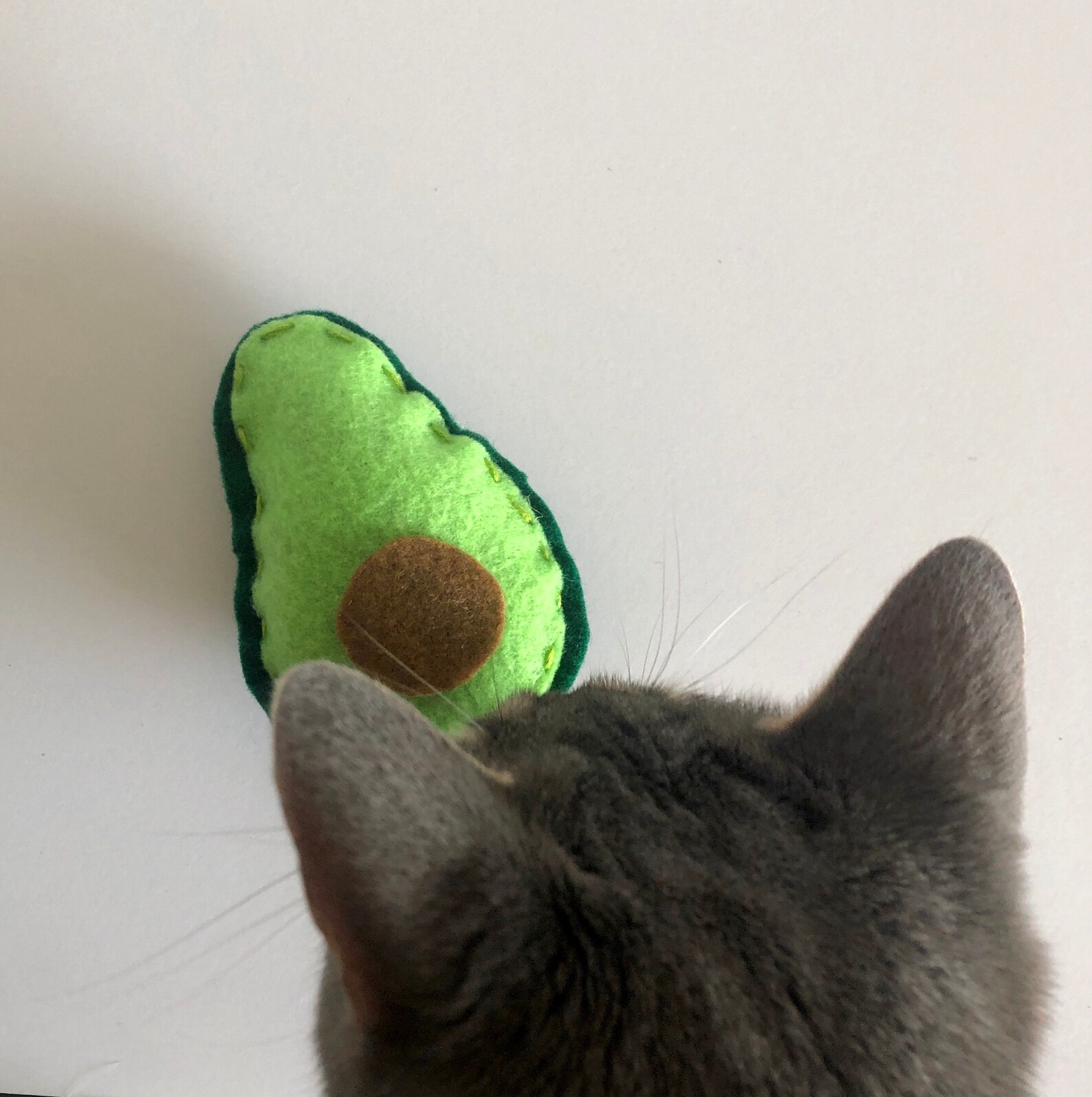 Avocado Cat Felt Toy Handmade Catnip Toy Etsy
