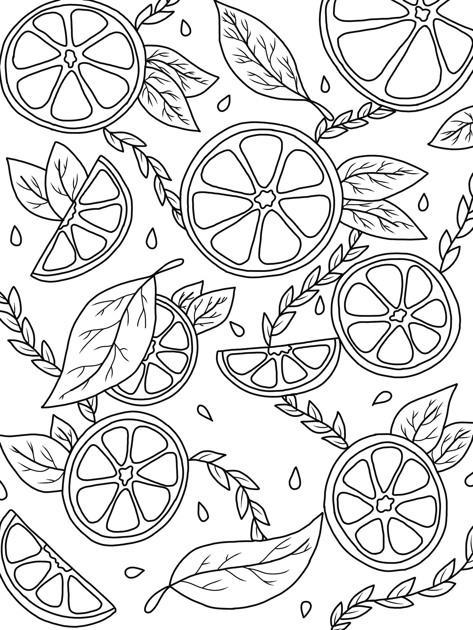 Citrus Coloring Page digital Download - Etsy Israel