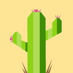 FPP - Blocco trapunta Cactus Arizona