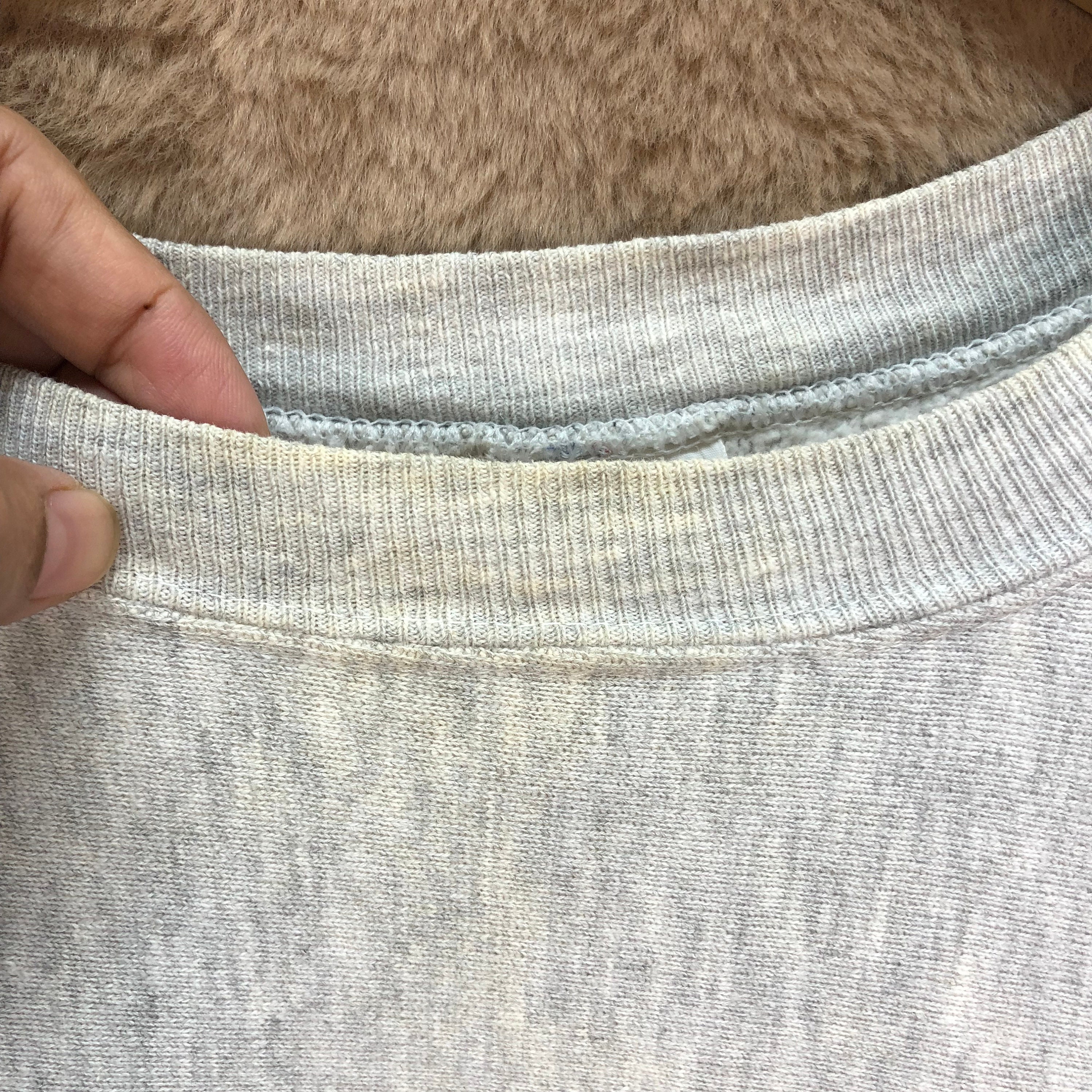 Vintage 90s Champion Reverse Weave Made in USA Michigan Spell Out