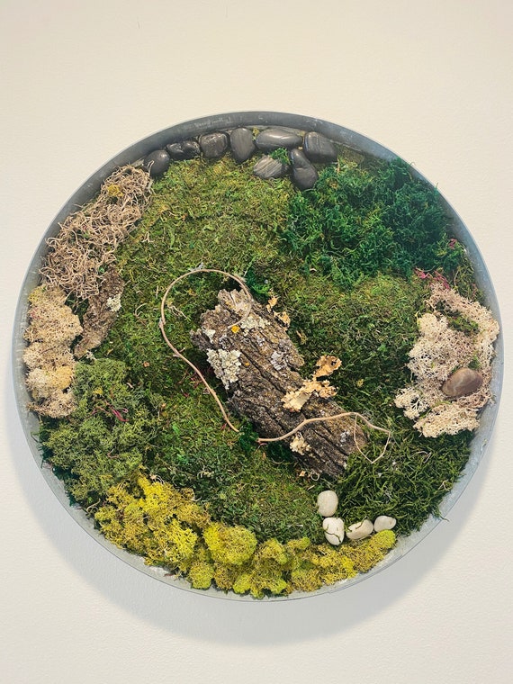 Wine Barrel Ring Moss Wall Art Etsy