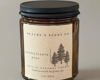 Pennsylvania Pine Beeswax Candle – Fresh Pine, Wood & Mountain Air | Non-Toxic, Hand-Poured in Amber Jar