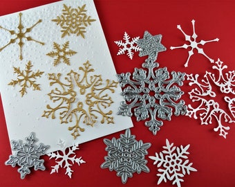 Download Mnv8qu0q5vfvqm PSD Mockup Templates