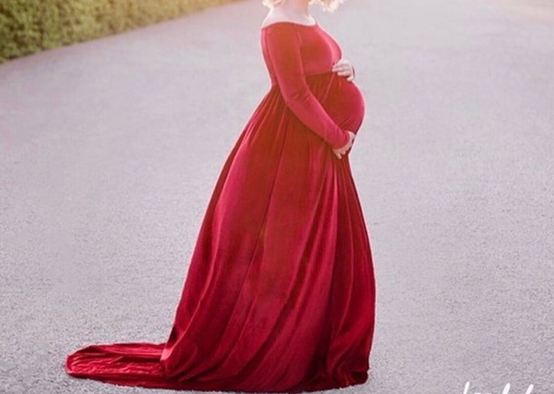 Velvet Petals Maternity and Nursing Dress