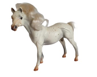Jument Appaloosa Grand Champions Vintage