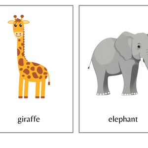 Grandes Flashcards Animaux du Zoo - Set 1