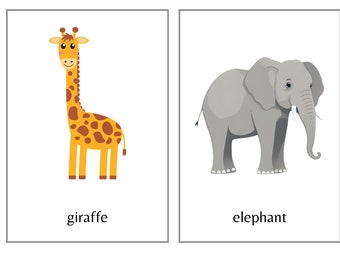 Flashcard grandi animali dello zoo - Set 1