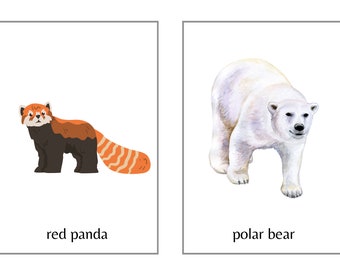 Flashcard grandi animali dello zoo - Set 2
