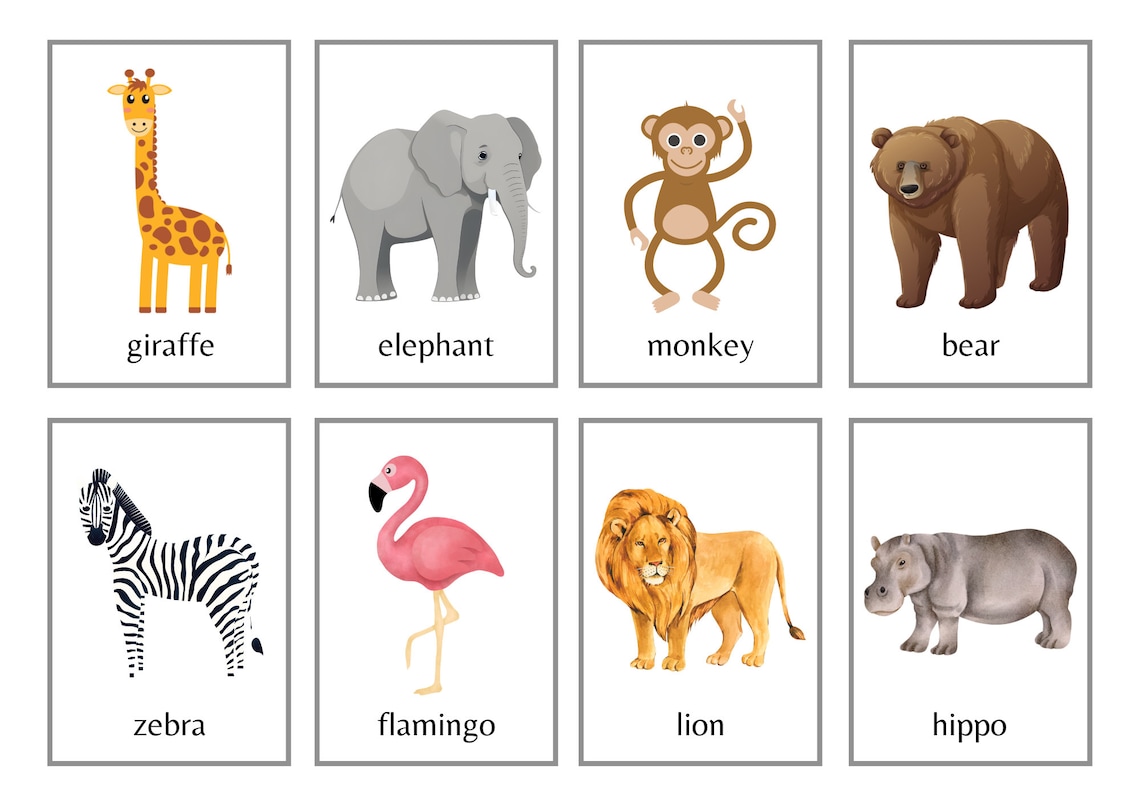Zoo Animal Flashcards 24 Animal Flashcards Zoo Flashcards Animal Cards