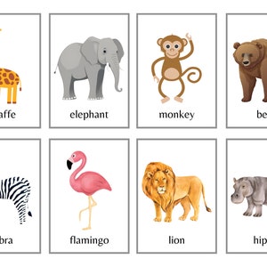 Flashcards de animais do zoológico (24) - Flashcards de animais - Flashcards de zoológico - Cartões de animais - Cartões de zoológico - Flashcards escolares