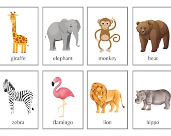 Flashcard Animali Zoo (24) - Flashcard Animali - Flashcard Zoo - Carte Animali - Carte Zoo - Flashcard Scolastiche