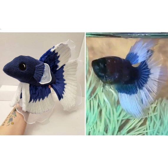 stuffed betta fish