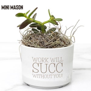 May include: White ceramic planter with the text "Work will succ without you!" and a small green succulent plant inside.