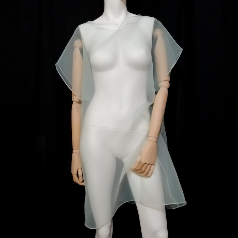 Tulle Tunic Dress main image 1