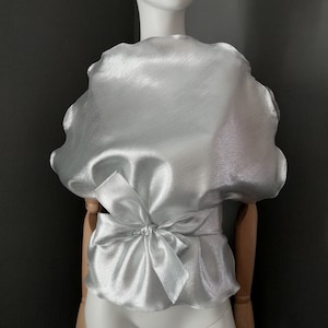 May include: A silver, sheer, and slightly iridescent blouse with a large bow at the waist.