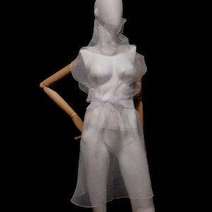 Oversized transparent belted dress. Overlay sheer dress with high collar from wrinkled organza. Wedding see through dress. See through tunic