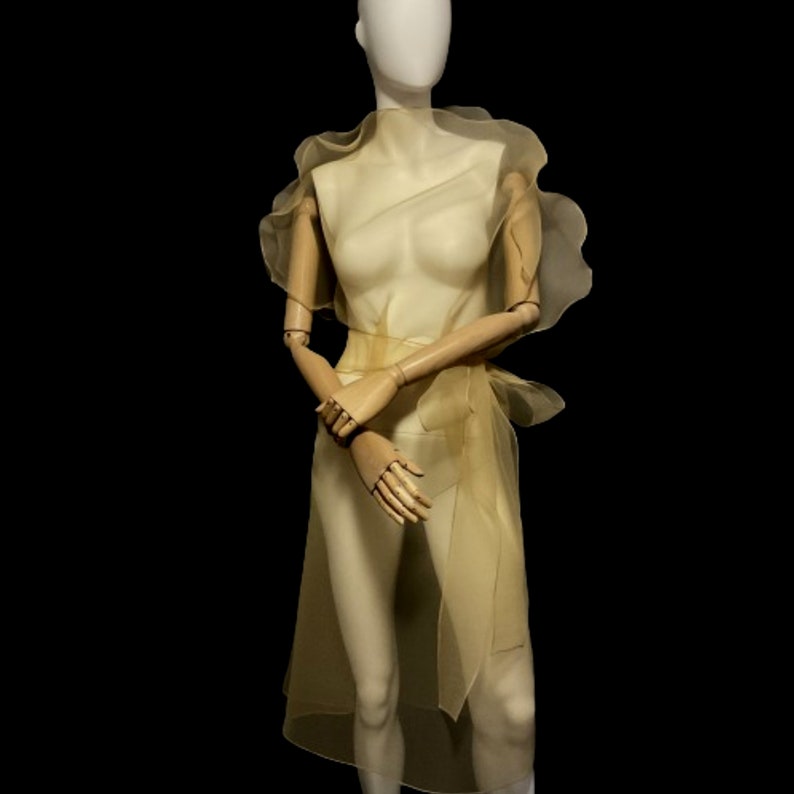 Puede incluir: Un vestido amarillo p&aacute;lido y transparente sobre un maniqu&iacute;. El vestido presenta un cuello y mangas con volantes, con una falda fluida que llega hasta la pantorrilla. Se ata a la cintura con una faja a juego, creando un aspecto delicado y et&eacute;reo.