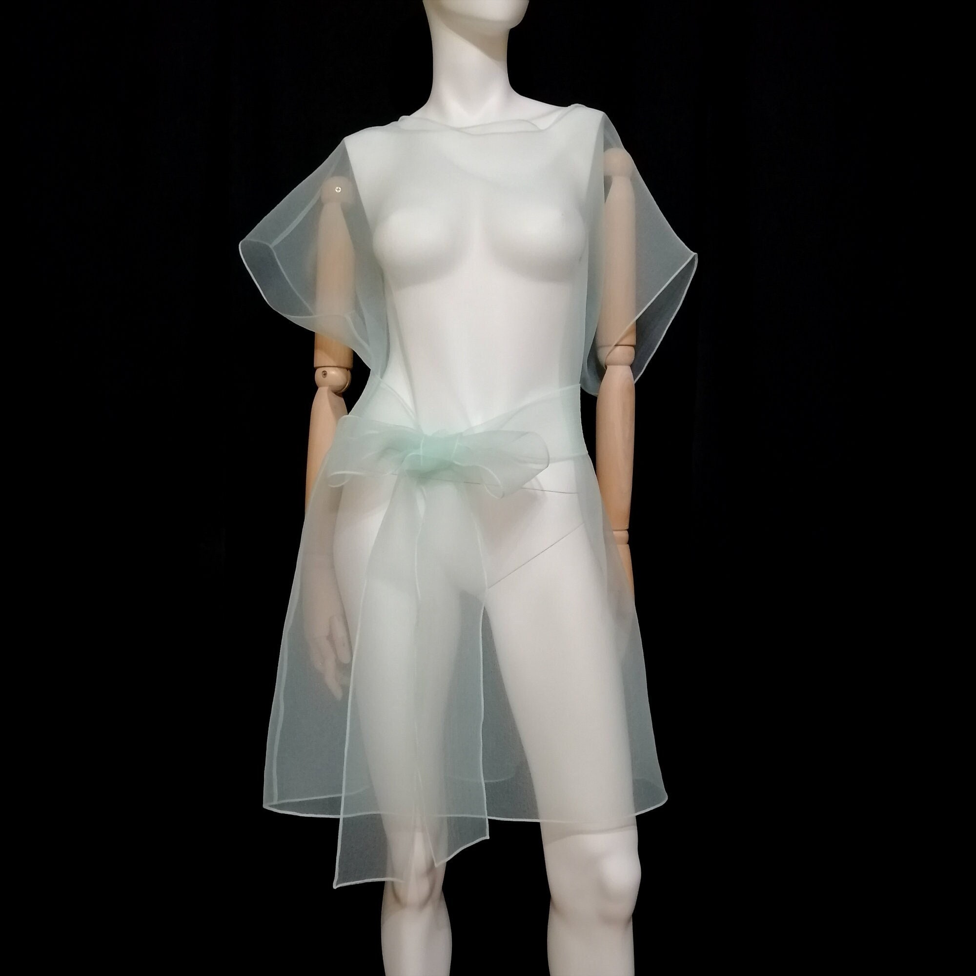 transparent dresses for ladies Belted Dress. Elegant Tunic. Woman Sheer Clothing. Organza Wedding Dress. Oversized Cover Up quiz-anniversary