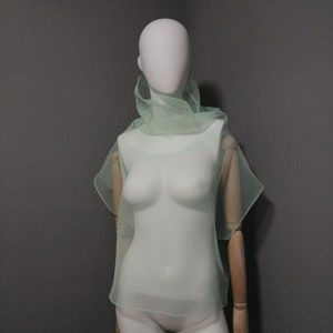 Puede incluir: Una blusa transparente de color verde claro con cuello alto y mangas cortas. La blusa est&aacute; hecha de una tela delicada y fluida, perfecta para superponer.
