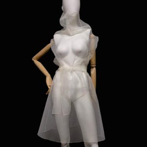 Oversized transparent belted dress. Overlay sheer dress with high collar from wrinkled organza. Wedding see through dress. See through tunic