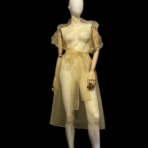 Overlay Sheer Belted Dress made of crinkled organza Dark Beige color. Transparent sleeveless Tunic. Elegant Woman's Special cover up.