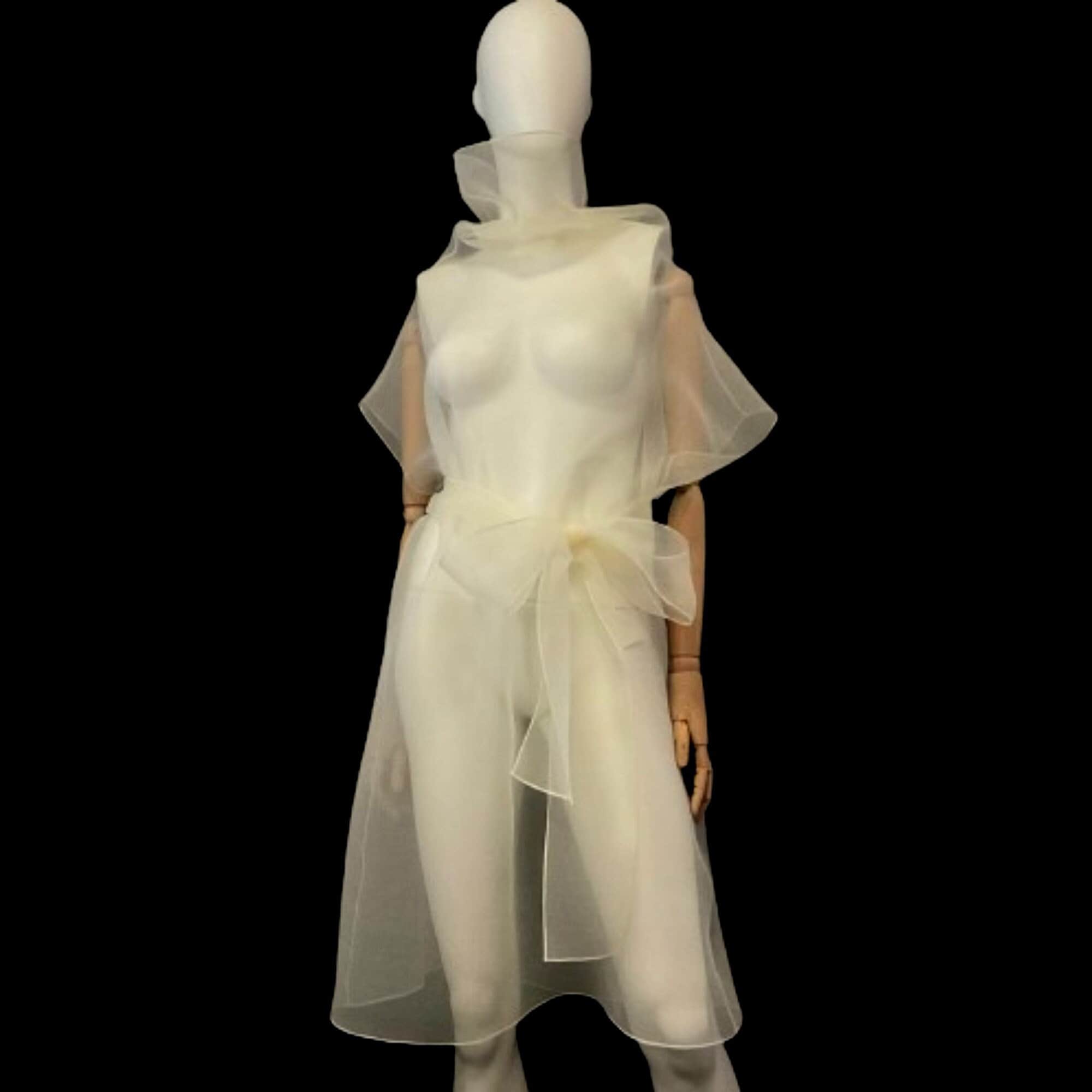 Overlay Sheer Dress With High Collar From Wrinkled Organza