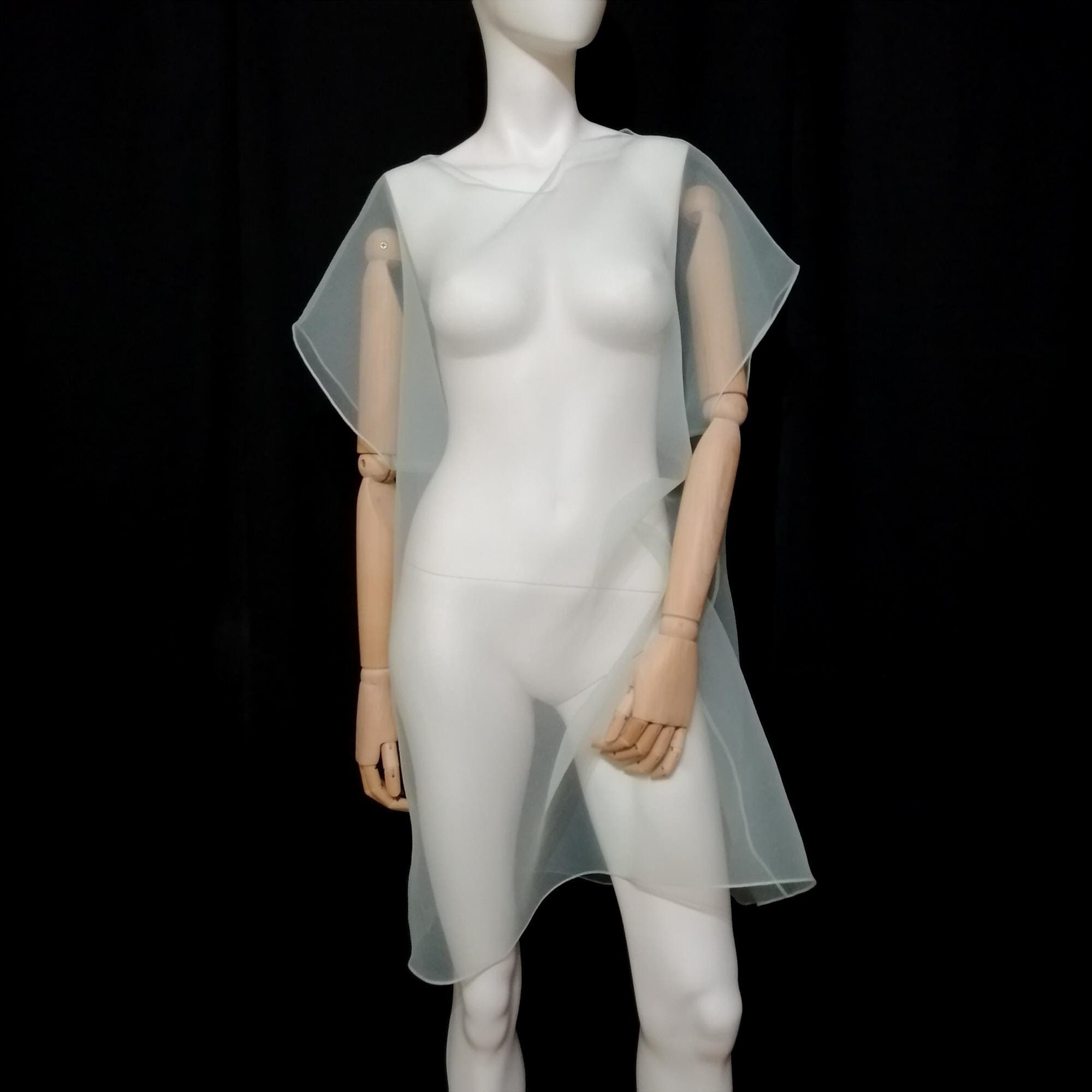 Transparent Dress. Elegant Tulle Tunic. Woman Sheer Clothing Transparent Dress. Elegant Tulle Tunic. Woman Sheer Clothing