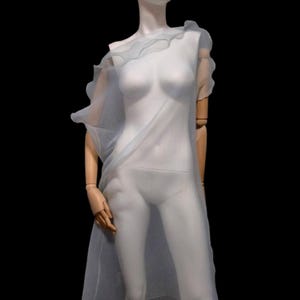 Pale blue Overlay Sheer Belted Dress made of crinkled organza. Transparent sleeveless Elegant Woman's Special cover up turn back to front.
