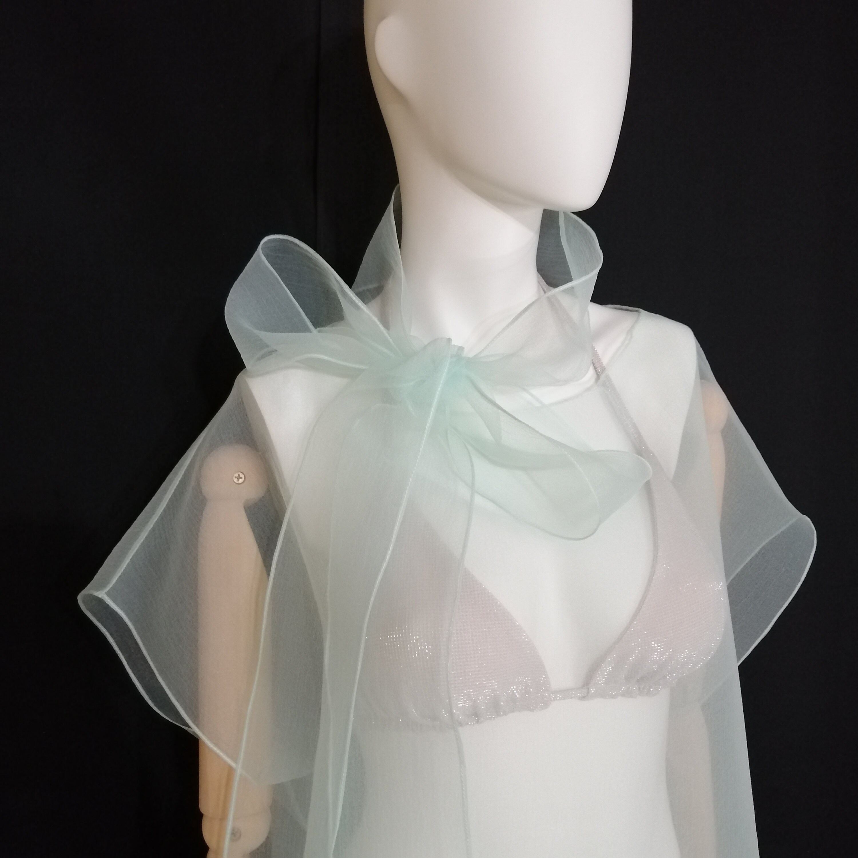 Transparent Dress. Elegant Tulle Tunic. Woman Sheer Clothing Transparent Dress. Elegant Tulle Tunic. Woman Sheer Clothing