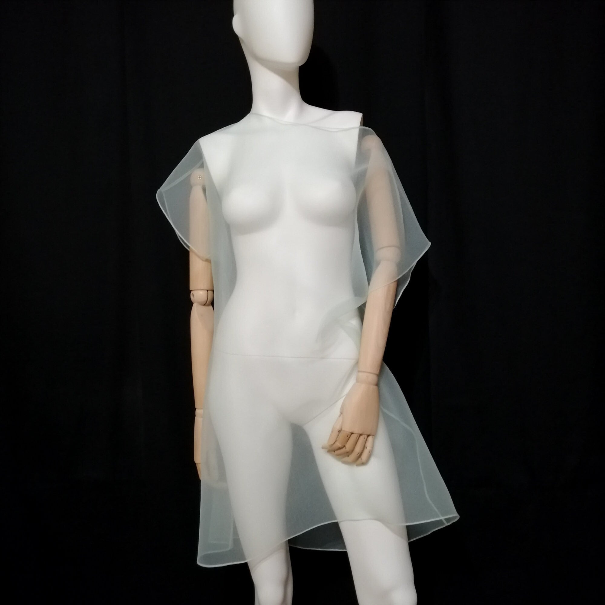 Transparent Dress. Elegant Tulle Tunic. Woman Sheer Clothing