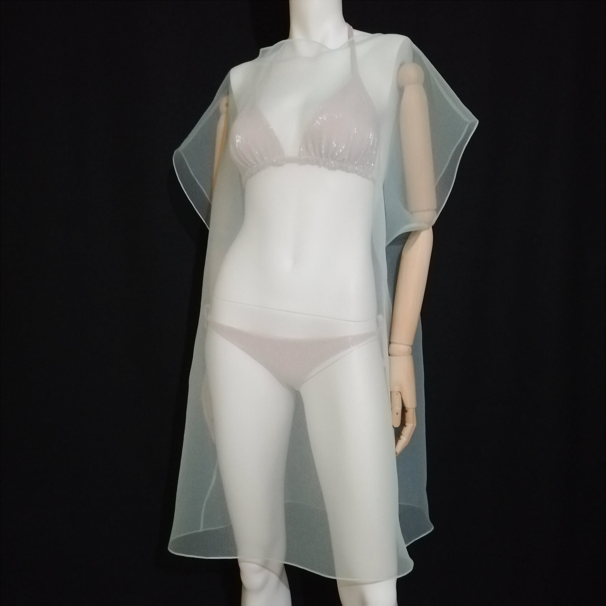 Transparent Dress. Elegant Tulle Tunic. Woman Sheer Clothing Transparent Dress. Elegant Tulle Tunic. Woman Sheer Clothing
