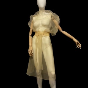 Puede incluir: Un vestido transparente de color amarillo p&aacute;lido con una silueta fluida se exhibe en un maniqu&iacute;. El vestido presenta un escote y mangas con volantes, una cintura ce&ntilde;ida con una faja a juego y una falda hasta la rodilla. El maniqu&iacute; tiene brazos articulados de madera y est&aacute; sobre un fondo negro.