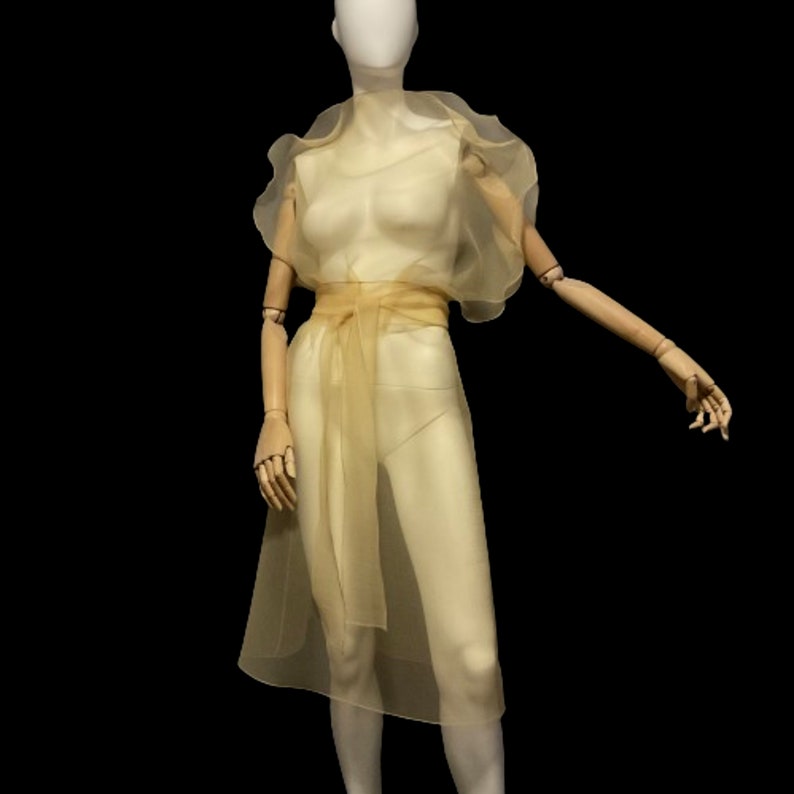 Puede incluir: Un vestido transparente de color amarillo p&aacute;lido con una silueta fluida se exhibe en un maniqu&iacute;. El vestido presenta un escote y mangas con volantes, una cintura ce&ntilde;ida con una faja a juego y una falda hasta la rodilla. El maniqu&iacute; tiene brazos articulados de madera y est&aacute; sobre un fondo negro.