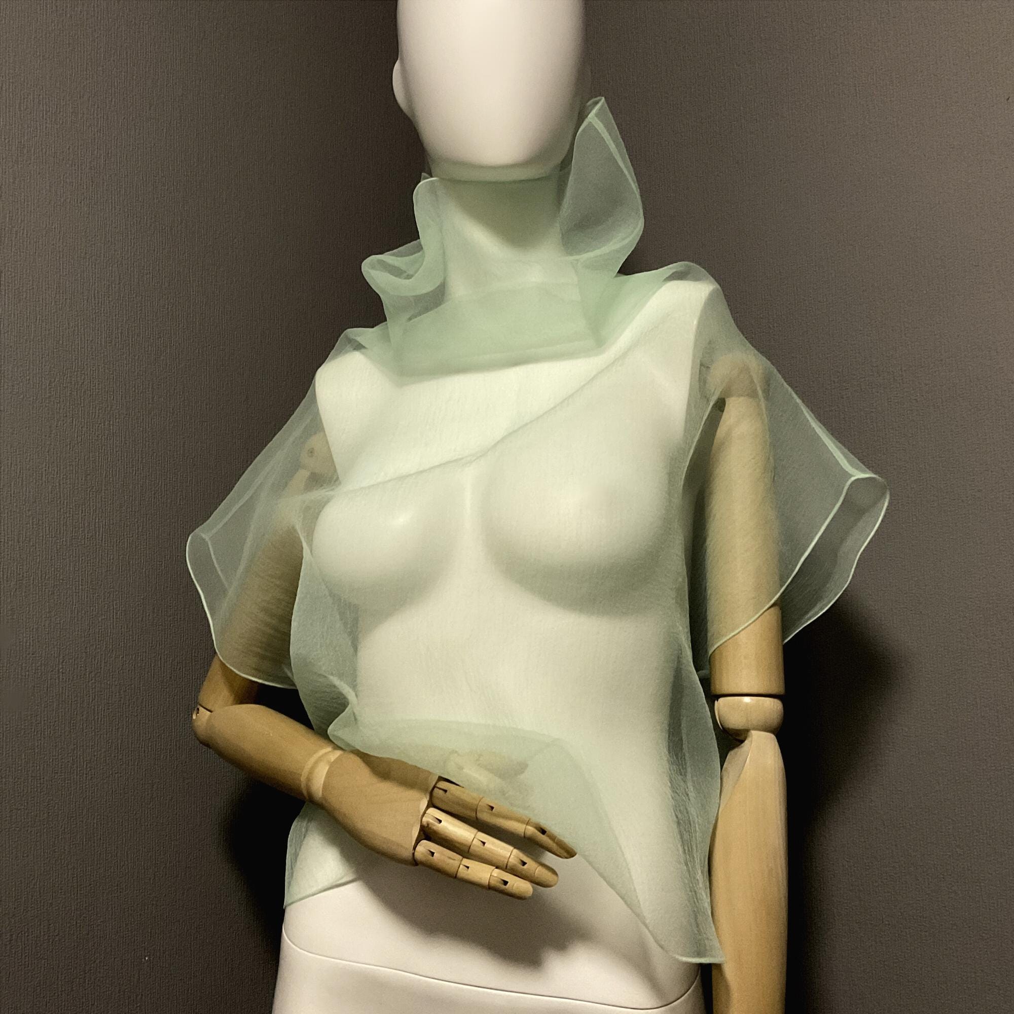 Sheer Organza Shirt - Etsy