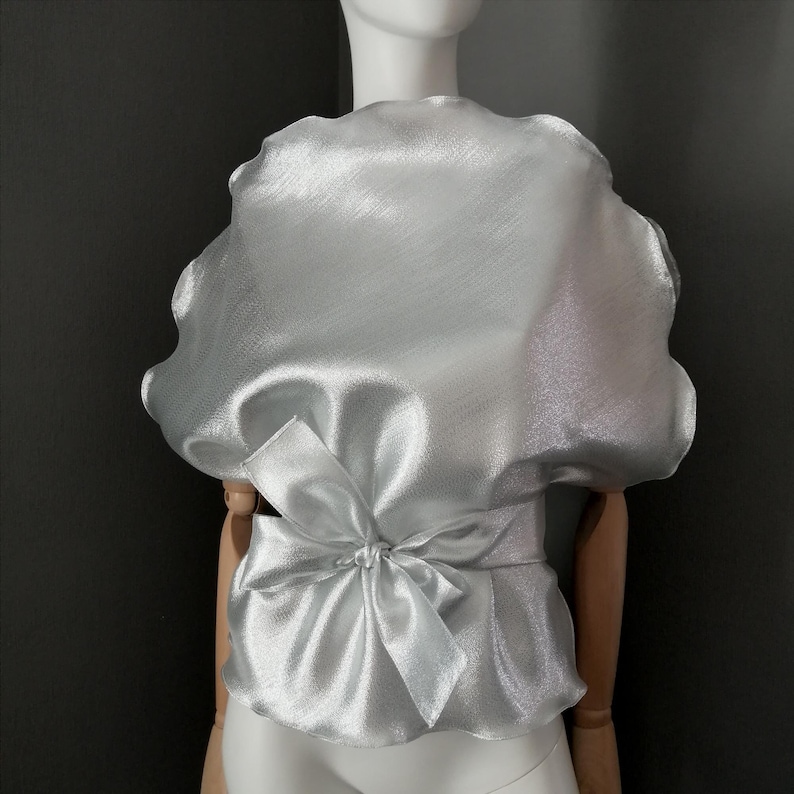 May include: A silver, sheer, and slightly iridescent blouse with a large bow at the waist.