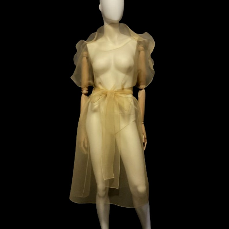 Puede incluir: Una prenda transparente de color oro claro sobre un maniqu&iacute;. La prenda presenta un escote drapeado, mangas cortas y abullonadas, y una falda larga y fluida. Una faja a juego ci&ntilde;e la cintura. El maniqu&iacute; est&aacute; sobre un fondo negro.