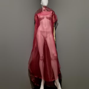 May include: A sheer, burgundy-colored cape and dress set displayed on a mannequin. The dress is a body-hugging, see-through garment, and the cape drapes over the shoulders. The mannequin has a white head and is positioned against a gray background.