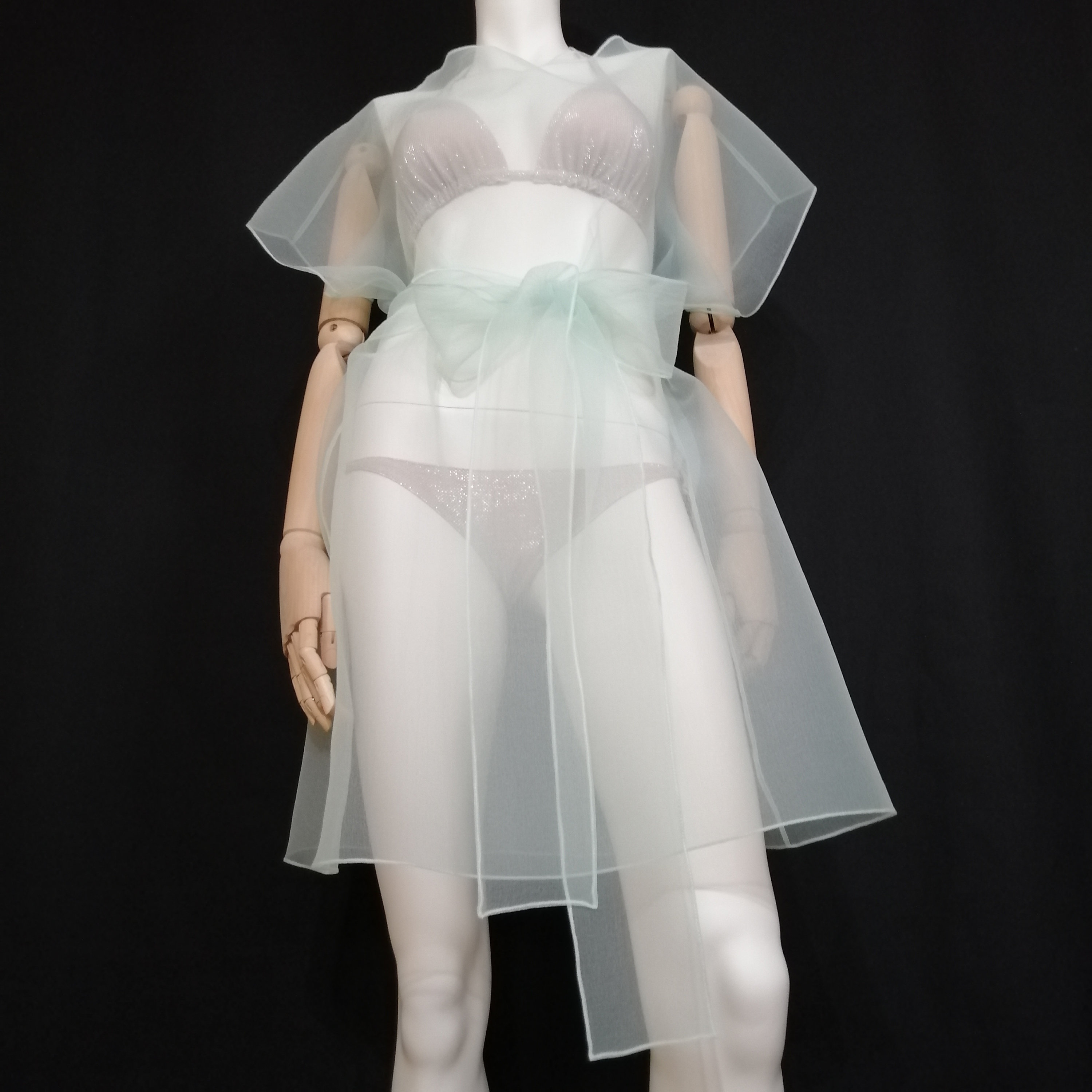 Transparent Dress. Elegant Tulle Tunic. Woman Sheer Clothing Transparent Dress. Elegant Tulle Tunic. Woman Sheer Clothing