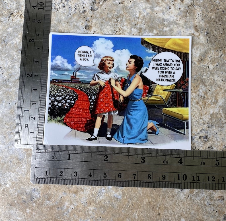 Anti-Christian Nationalism Sticker, Trans Sticker, Leftist Sticker, MacBook Stickers, Laptop Sticker, iPad Stickers, Sarcastic Water Bottle image 3