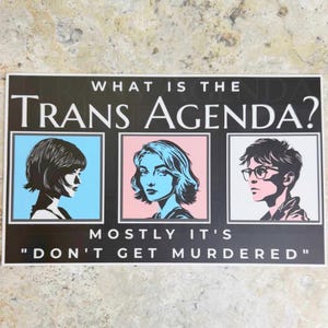 Trans Rights Sticker, Trans Agenda Decal, Protect Trans Kids Car Sticker, Trans Lives Matter Laptop Decal, LGBT Ally, LGBTQ Sign,Trans Folks