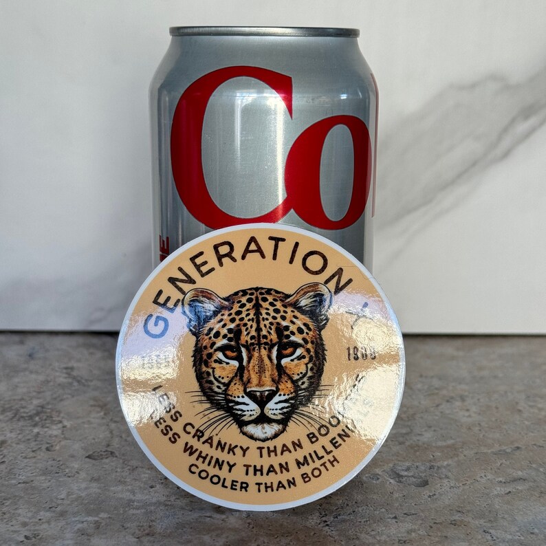 Generation X Sticker, Gen X Decal, Gen X Gifts, Funny 70s sticker, 80s Funny sticker, 50th Birthday Gift, Laptop Decal, Water Bottle Sticker bild 2