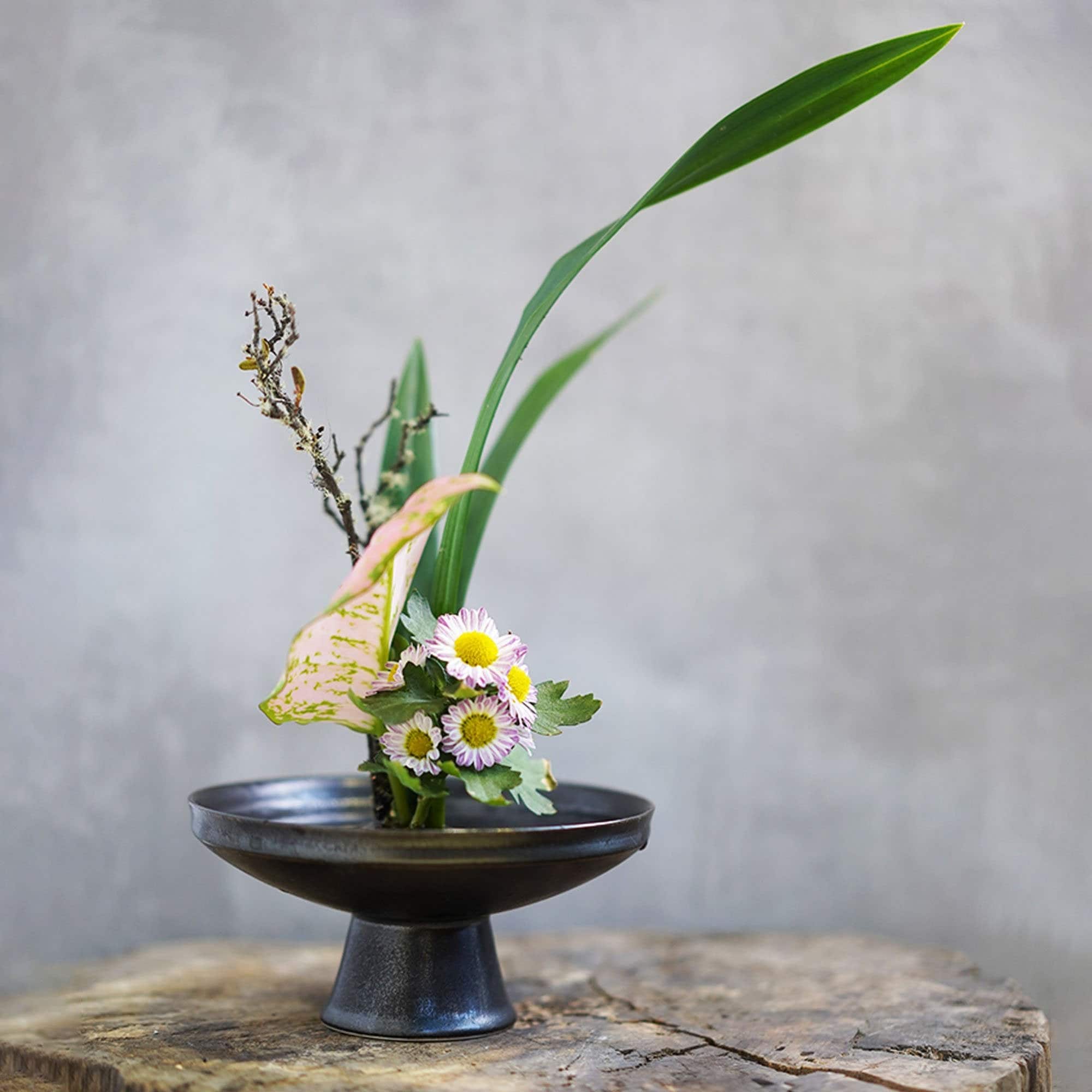 Japanese Flower Base Pin Flower Arrangements Supplies Home Supply Round  Ikebana