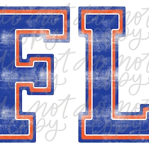 Florida Digital Design - University of Florida - Gators Football Design - Gators Shirt Design - Go Gators - Game Day Gators
