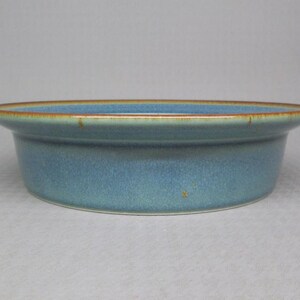 May include: A ceramic serving bowl with a wide, shallow design. The bowl has a light blue exterior with a textured appearance and a brown rim. The bowl is suitable for serving food.