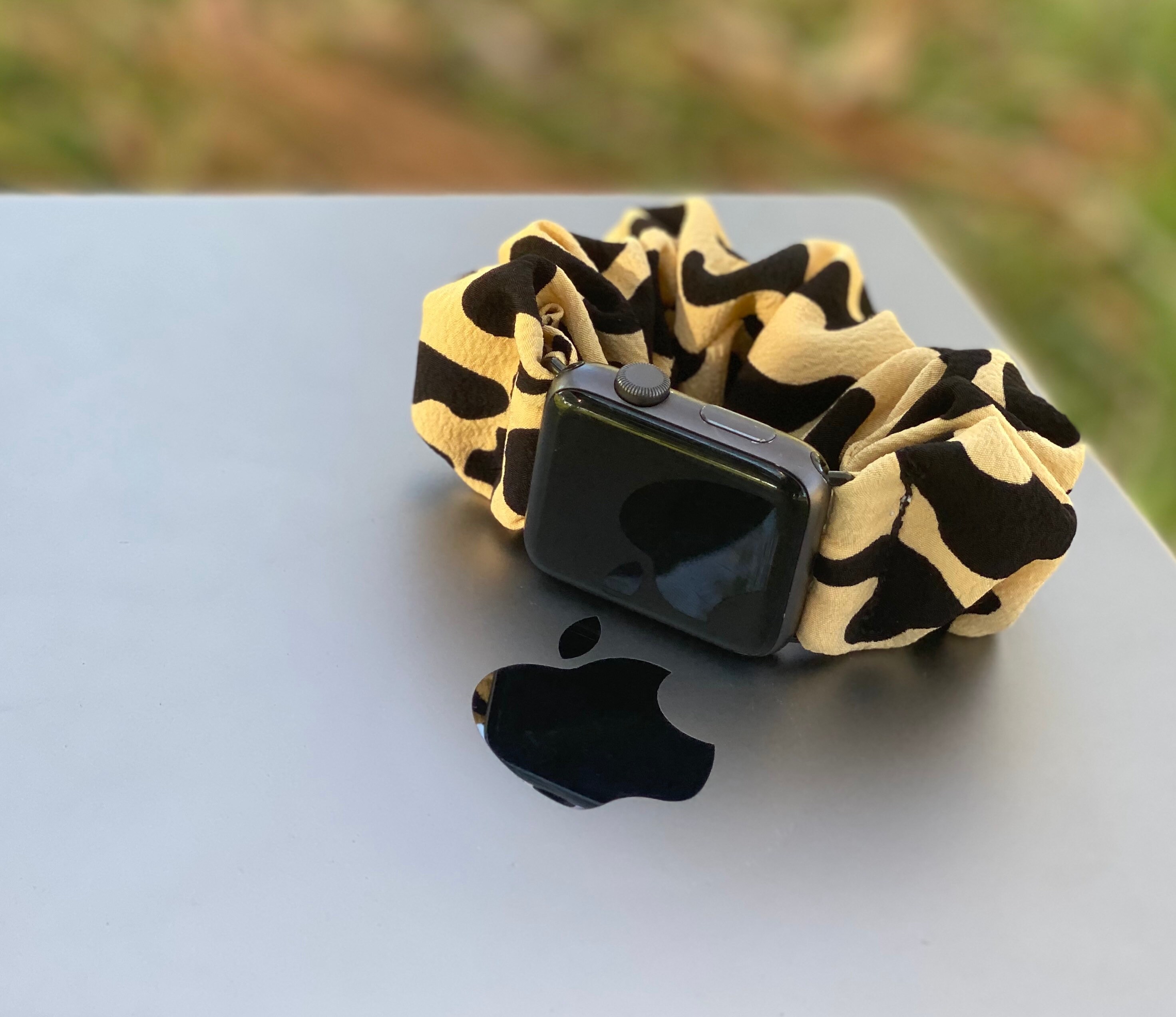 apple watch charge screen snake apple watch charge screen snake
